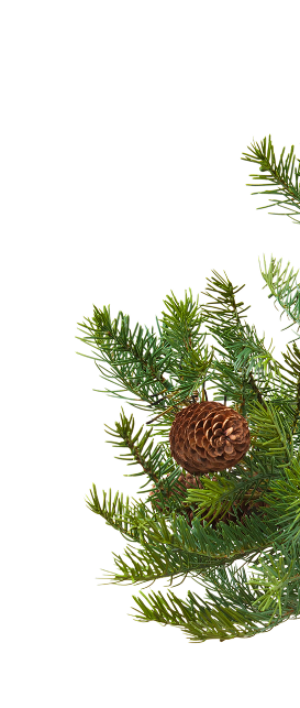 Про нас – Зображення 31