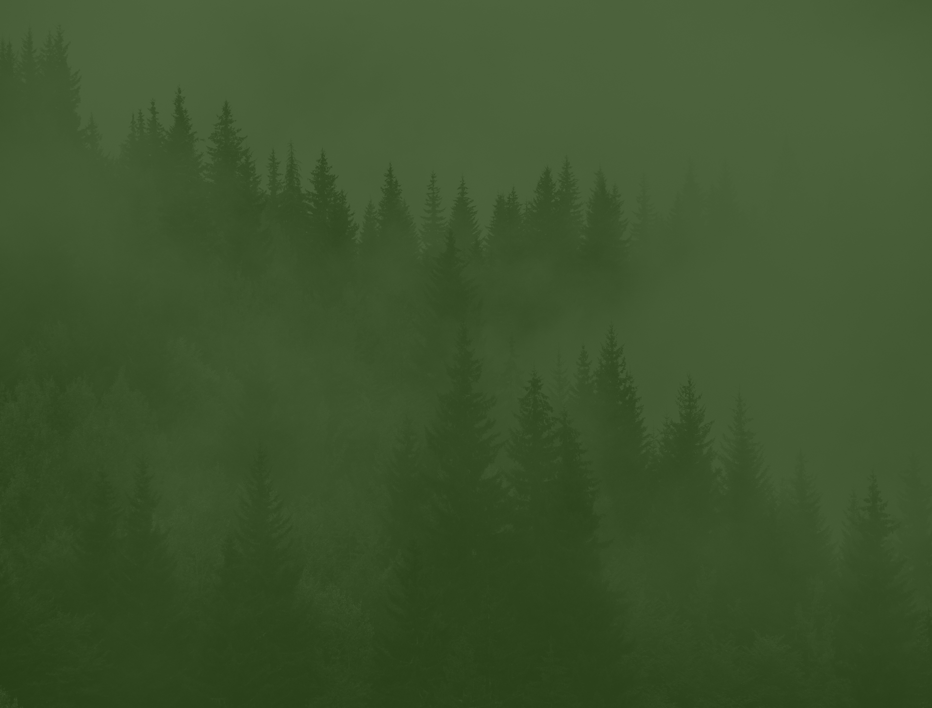 Головна – Зображення 12