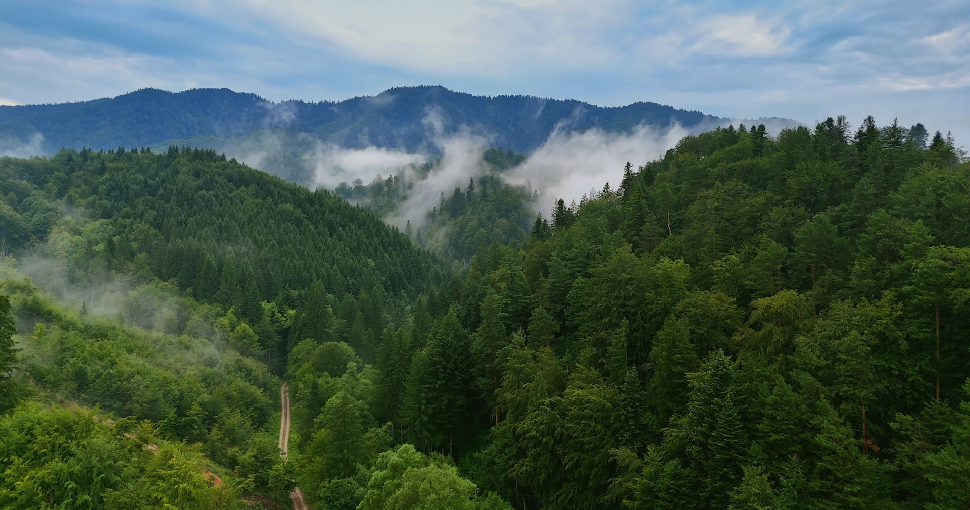 Головна – Зображення 3