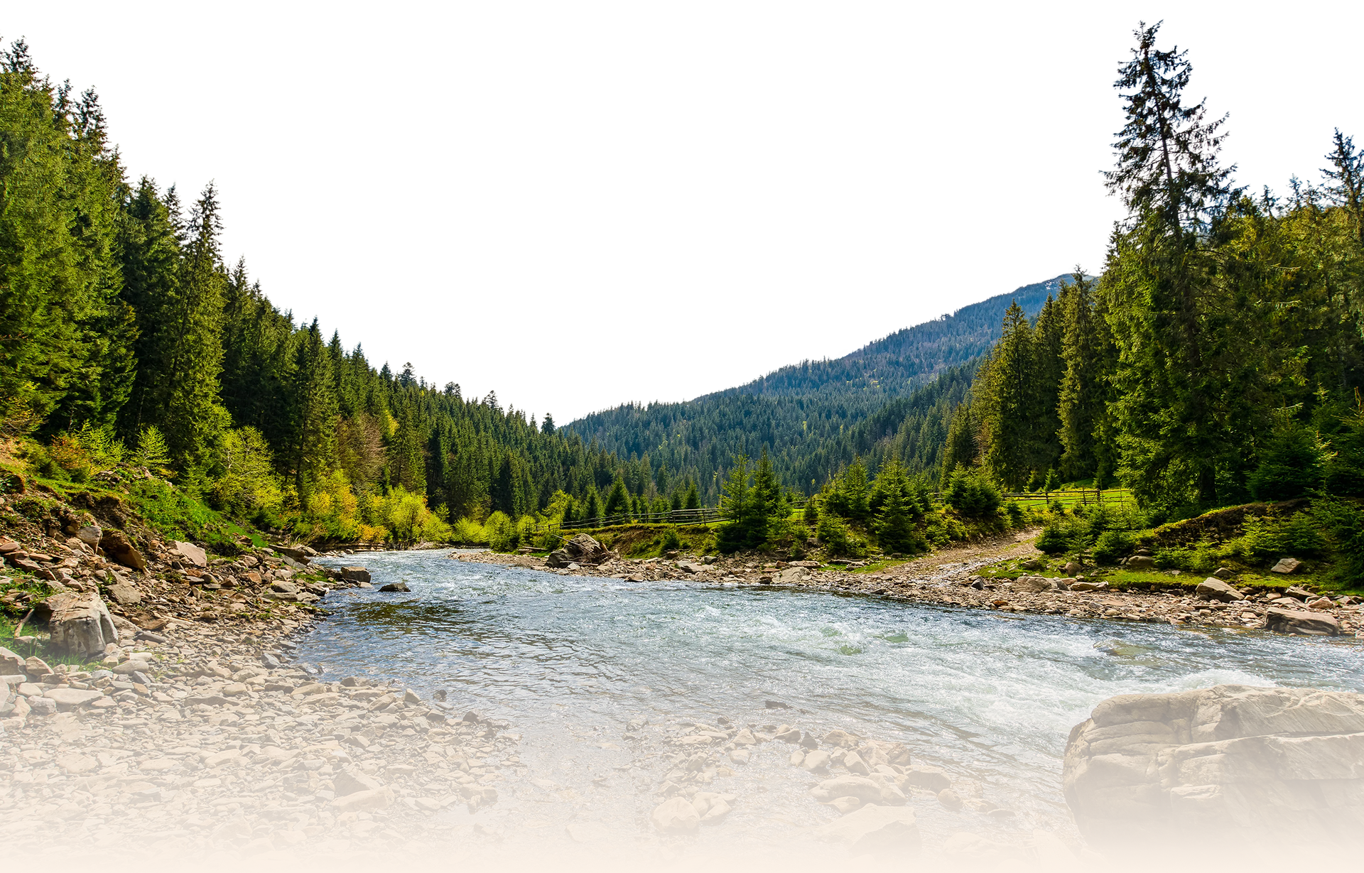 Головна – Зображення 9